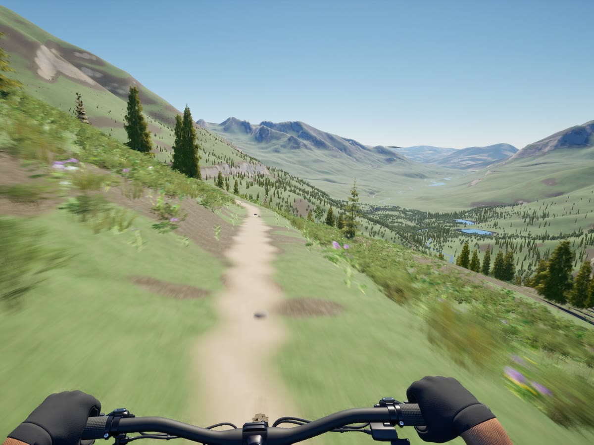 Crested Butte: 401: in-game capture